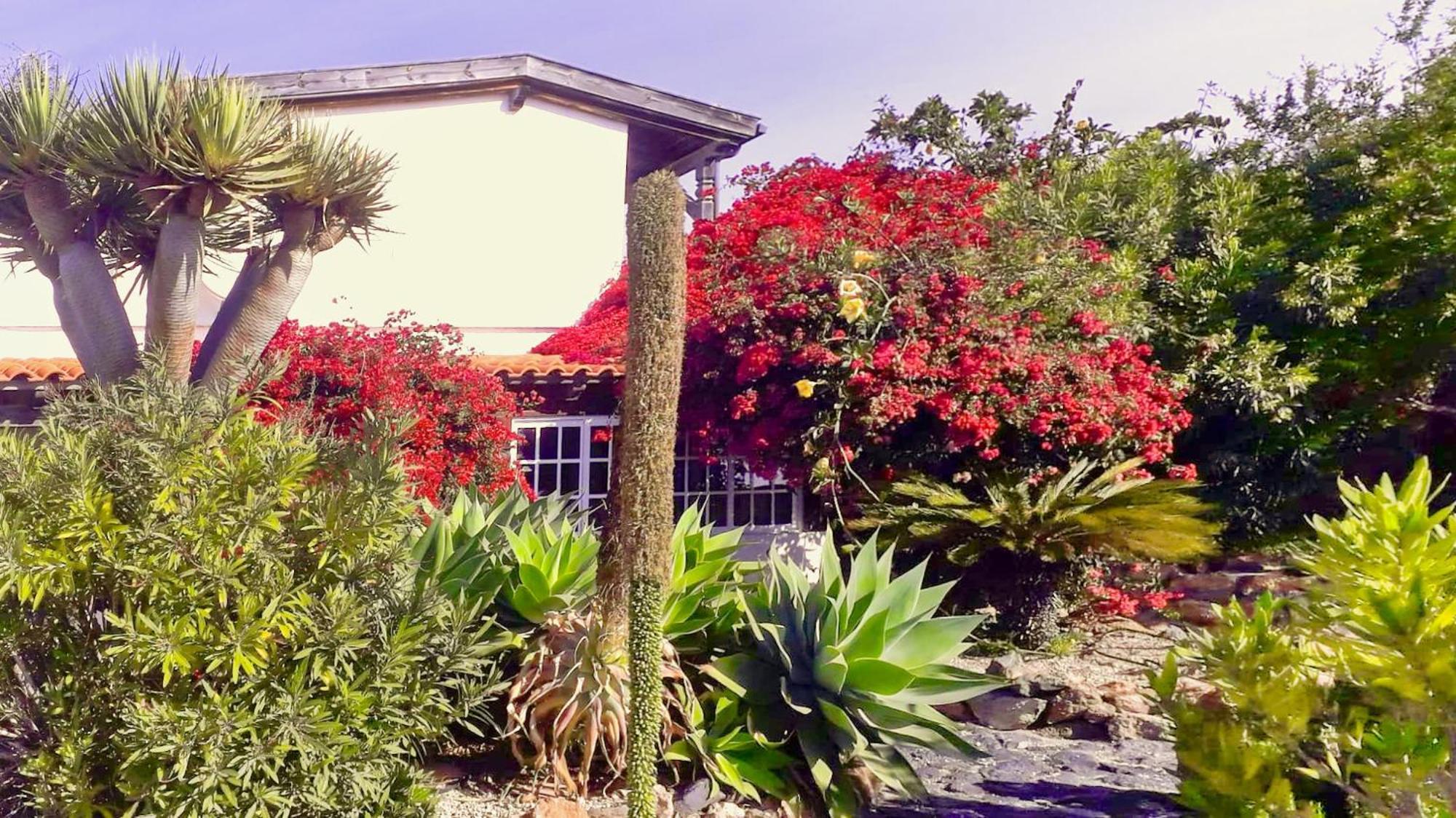 -Casa Azul-Arico Viejo La Sabinita - Baden, Wandern, Klettern, Individualurlaub Jenseits Des Massentourismus, Villa Kültér fotó