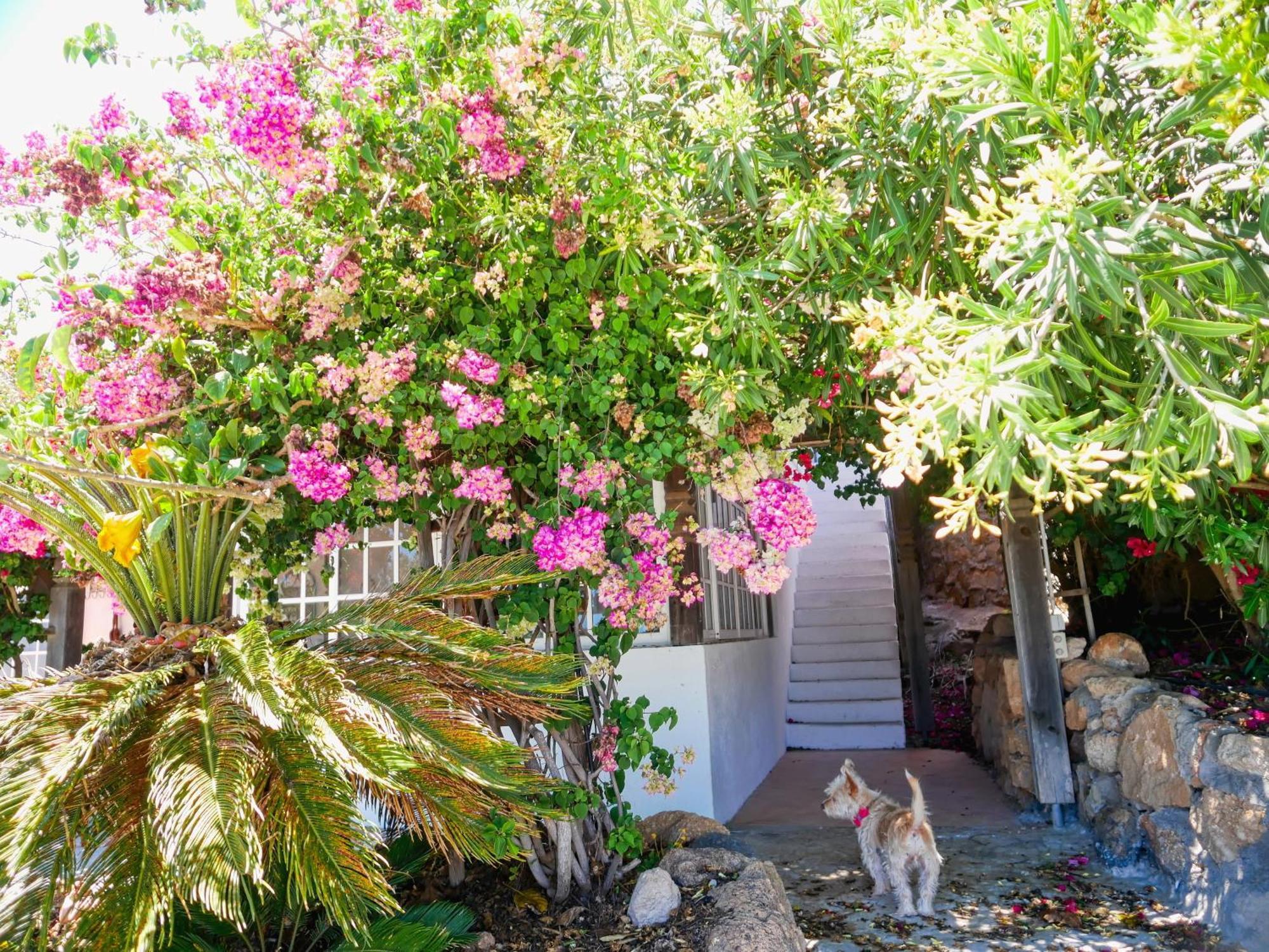 -Casa Azul-Arico Viejo La Sabinita - Baden, Wandern, Klettern, Individualurlaub Jenseits Des Massentourismus, Villa Kültér fotó