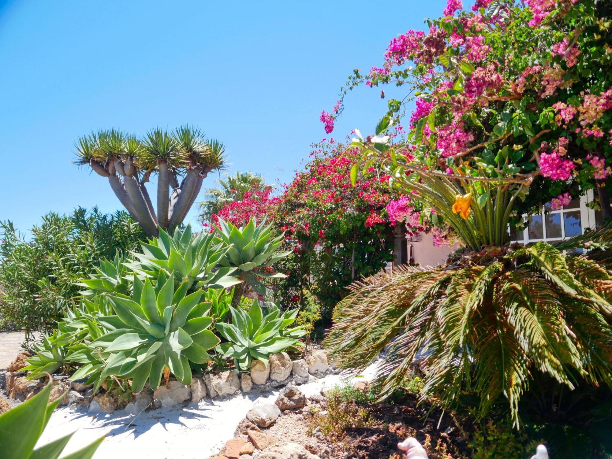 -Casa Azul-Arico Viejo La Sabinita - Baden, Wandern, Klettern, Individualurlaub Jenseits Des Massentourismus, Villa Kültér fotó